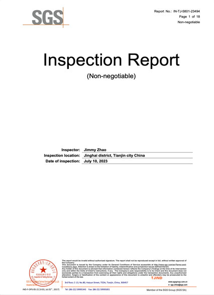 inspection report