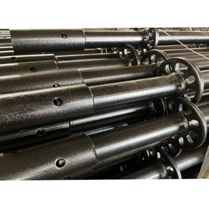 Electrophoresis Steel Ringlock Scaffolding 