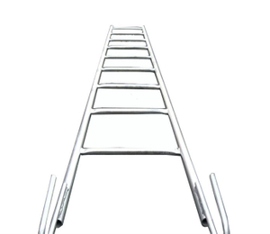 Monkey Ladder